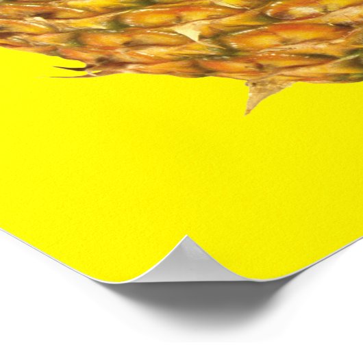 Poster Ananas (Coin)