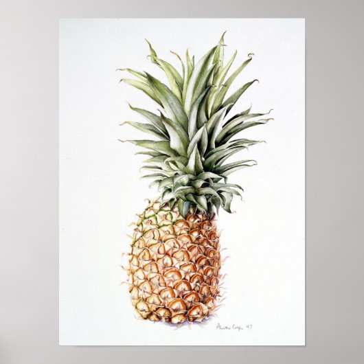 Poster Ananas 1997 (Devant)