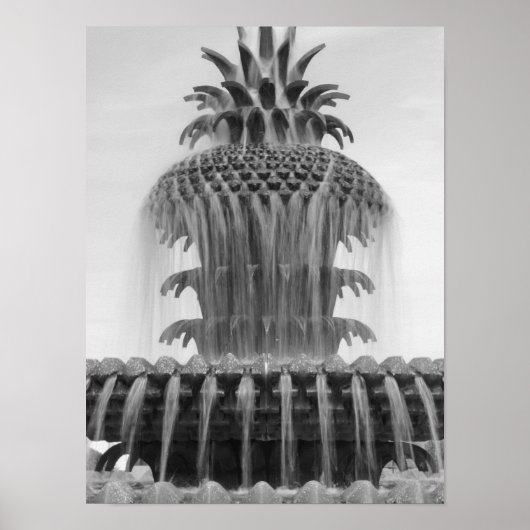 Poster Ananas apaisant (Devant)