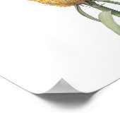Poster ananas (Bromelia ananas) par Redouté (Coin)