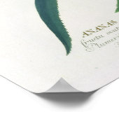 Poster Ananas gravé par Johann Jakob Haid (1704-67) (Coin)