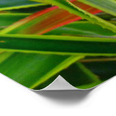 Poster Ananas hawaïen (Coin)