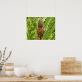 Poster Ananas sauvage Fruit tropical dans la nature (Cuisine)