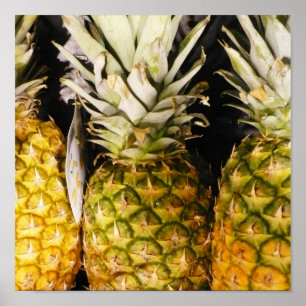 Poster Ananas X trois