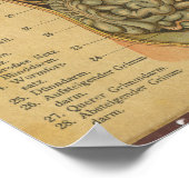 Poster Anatomie allemande vintage Imprimer Organes intern (Coin)