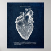 Poster Anatomie Art no 1 Vue antérieure du coeur humain (Devant)