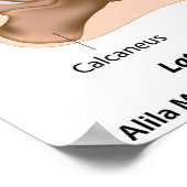 Poster Anatomie articulaire, diagramme étiqueté. (Coin)