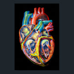 Poster anatomie cardiaque humaine colorée art abstrait<br><div class="desc">anatomie du coeur humain coloré original art abstrait Poster</div>