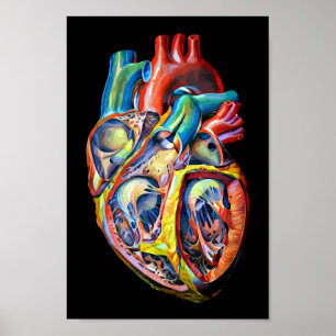 Poster anatomie cardiaque humaine colorée art abstrait