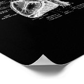 Poster Anatomie cardiaque humaine en noir et blanc (Coin)