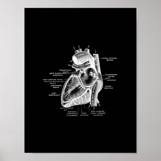 Poster Anatomie cardiaque humaine en noir et blanc (Devant)