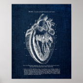 Poster Anatomie cardiaque n° 3 Vue intérieure (Devant)