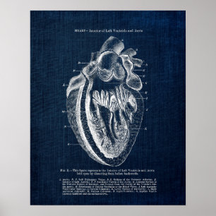 Poster Anatomie cardiaque n° 3 Vue intérieure