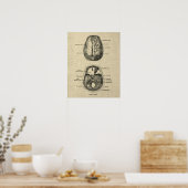 Poster Anatomie cérébrale n° 5 avec Arrière - plan de crè (Cuisine)