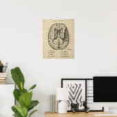 Poster Anatomie cérébrale n° 7 avec Arrière - plan de crè (Bureau à domicile)