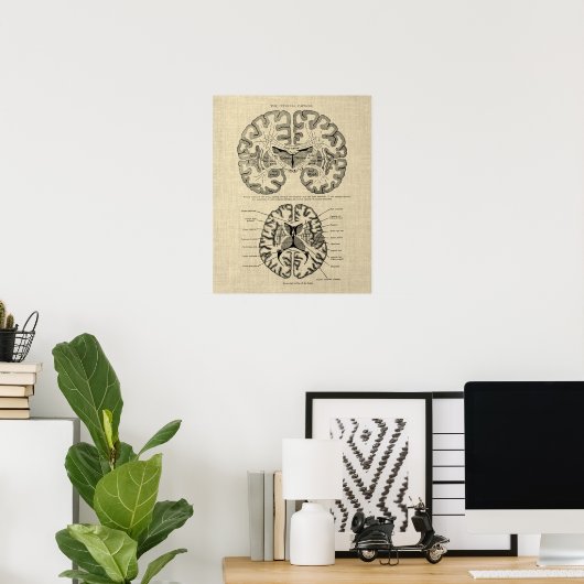 Poster Anatomie cérébrale n° 9 avec Arrière - plan de crè (Bureau à domicile)