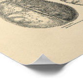 Poster Anatomie crâne vintage du cerveau 1880 Imprimer (Coin)