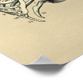 Poster Anatomie de la cage thoracique humaine 1902 Impres (Coin)