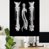 Poster Anatomie de la colonne vertébrale (Bureau à domicile)