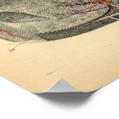 Poster Anatomie de la colonne vertébrale du cerveau du ch (Coin)