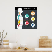 Poster Anatomie de la colonne vertébrale humaine (Cuisine)