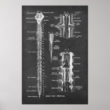 Anatomie de la colonne vertébrale Imprimé n° 1