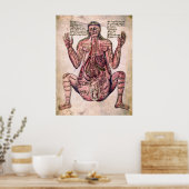 Poster ANATOMIE de la FEMME ENCEINTE c. 14 siècle (Cuisine)