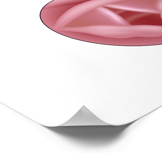 Poster Anatomie de l'affiche larynx (Coin)