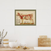 Poster Anatomie de l'artère de la vache Vintage 1917 (Cuisine)