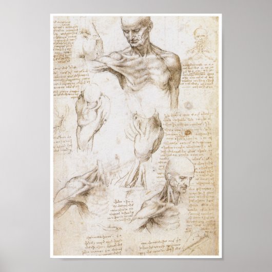 Poster Anatomie de l'épaule, Léonard de Vinci (Devant)