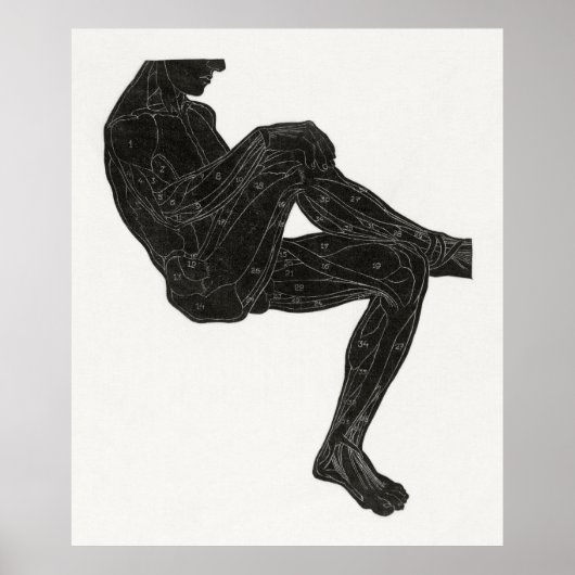 Poster Anatomie de l'homme 3 (Devant)