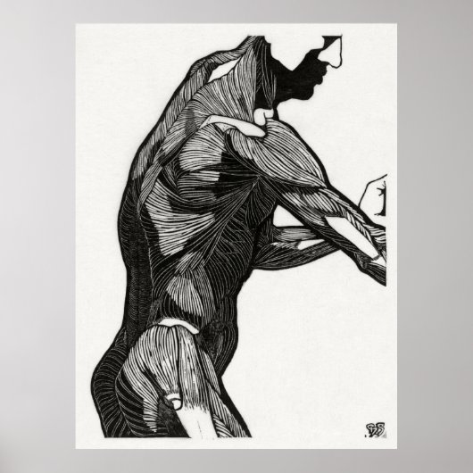 Poster Anatomie de l'homme 4 (Devant)