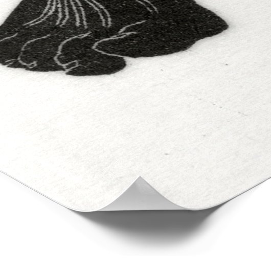 Poster Anatomie de l'homme 6 (Coin)