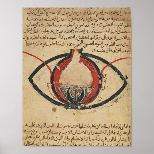 Poster Anatomie de l'oeil, d'un livre sur les maladies oc (Devant)