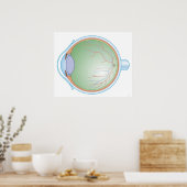 Poster Anatomie de l'oeil humain (Cuisine)