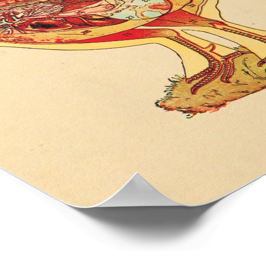 Poster Anatomie de poulets (Coin)