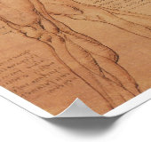 Poster Anatomie de surface de l'Extrémité inférieure, Da  (Coin)