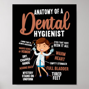 Poster Anatomie Dentaire Hygiéniste Dentaire D'Un Dentair