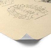 Poster Anatomie dentaire vintage 1880 Imprimer (Coin)