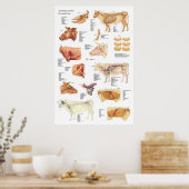 Poster Anatomie des bovins Graphique 24" X 36" (Cuisine)