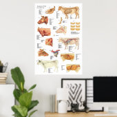 Poster Anatomie des bovins Graphique 24" X 36" (Bureau à domicile)
