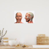 Poster Anatomie des muscles de la tête masculine dans div (Cuisine)