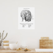 Poster Anatomie des vaisseaux sanguins à échelle humaine (Cuisine)