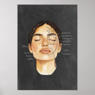 Poster Anatomie des vaisseaux sanguins Art anatomique