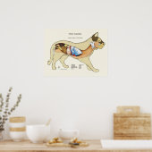 Poster Anatomie digestive interne Cat Organigramme vétéri (Cuisine)