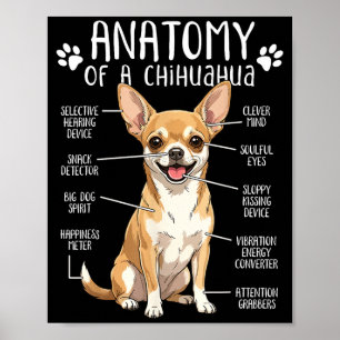 Poster Anatomie drôle de Chihuahua d'un propriétaire de c