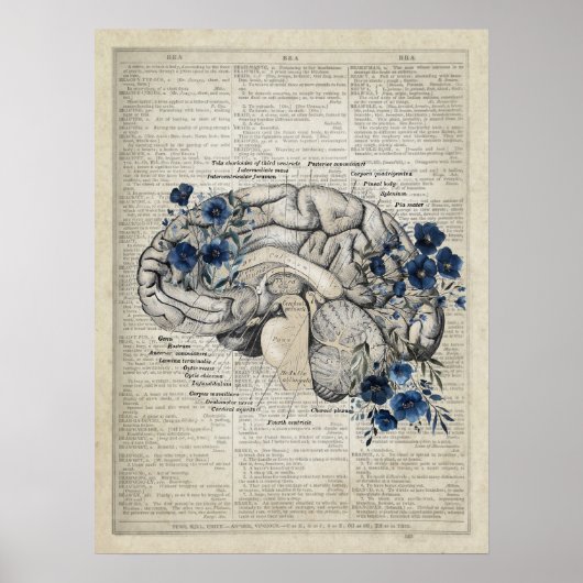 Poster Anatomie du cerveau avec Fleurs Bleues Marine Art  (Devant)