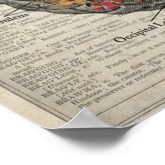 Poster Anatomie du cerveau avec papillons et fleurs (Coin)