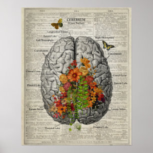 Poster Anatomie du cerveau avec papillons et fleurs
