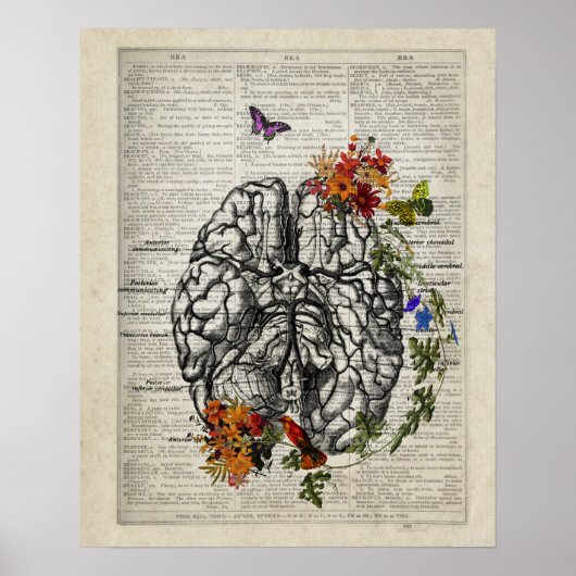 Poster Anatomie du cerveau humain avec des papillons aux  (Devant)